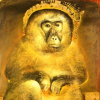 sacred_monkeys-6